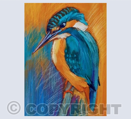 Keen Eyed Kingfisher