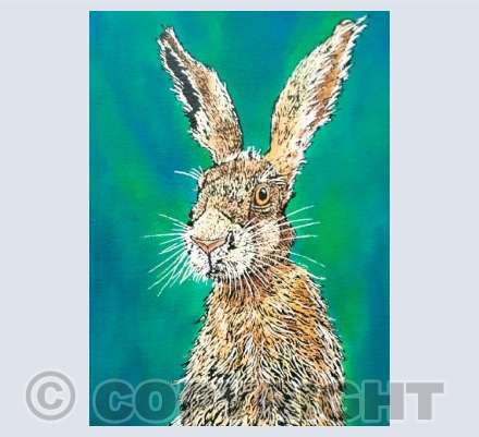 Wise Hare