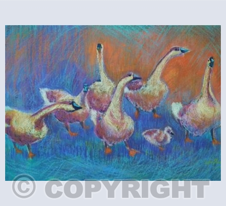 A gaggle of fun