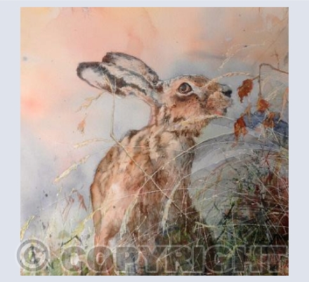 Autumn Hare
