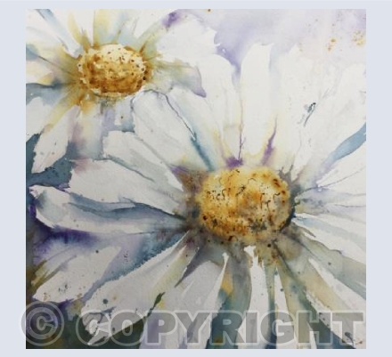 Dashing daisies 