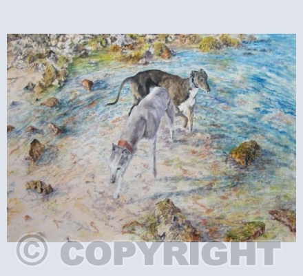 Spring tide