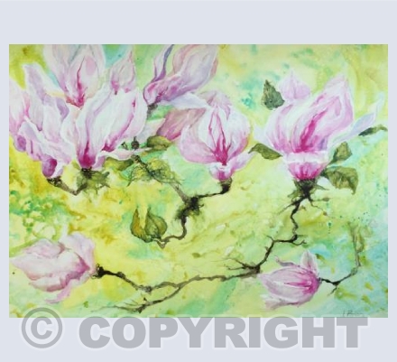 Magic magnolias 