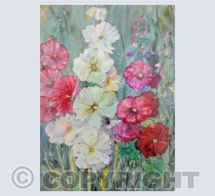 Hollyhocks 