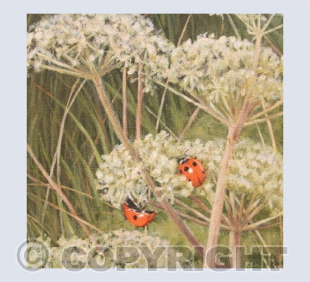 Two Times Seven Spot Ladybirds