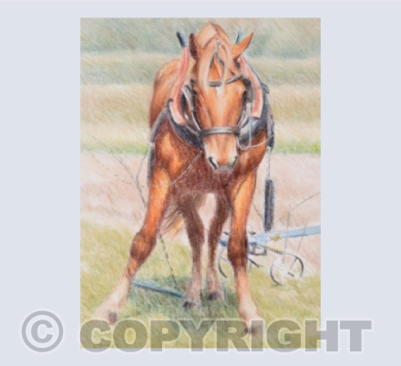 Turning on the Headland