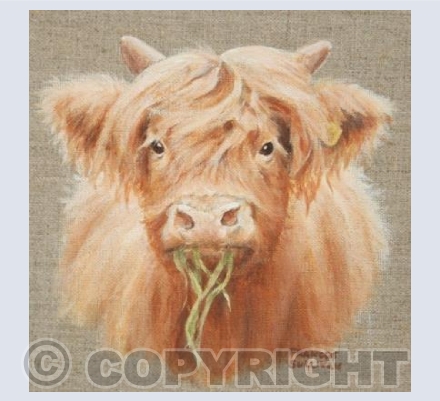 Highland Bairn