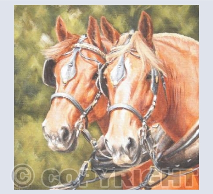 Working Suffolk Horse Friends