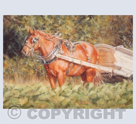 Beet Carting with a Suffolk Punch Horse