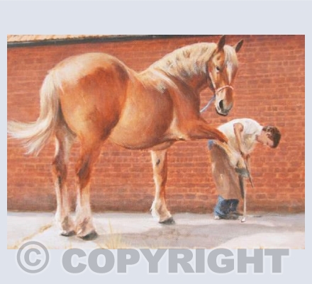 Foot Trim - Suffolk Punch Horse