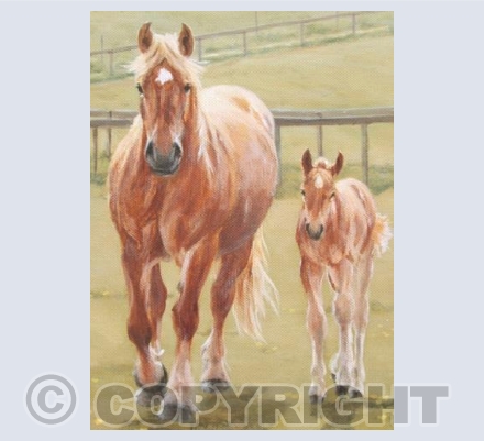 Ambling Suffolk Horse Mare and Foal