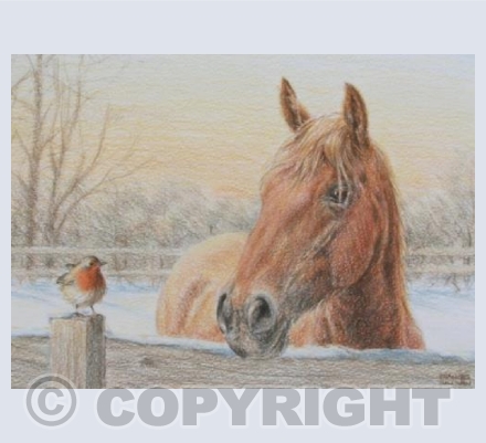 Winter Friends - Suffolk Punch Horse & Robin