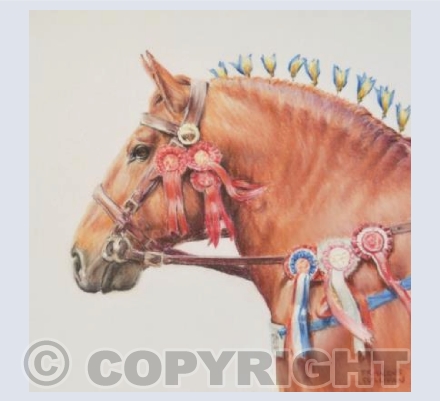 A Successful Suffolk