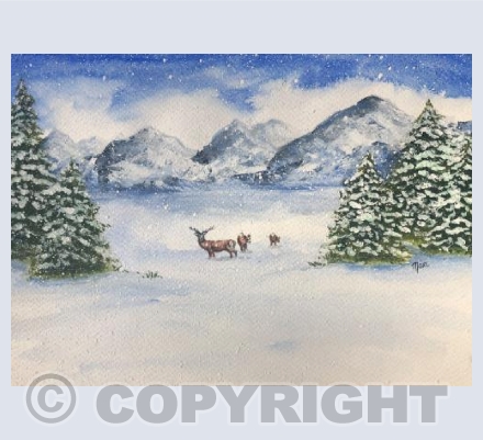 Deer