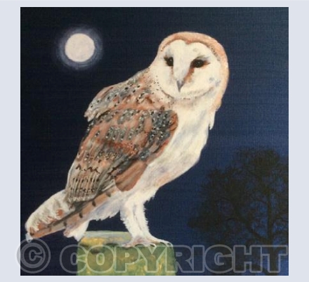 Night owl