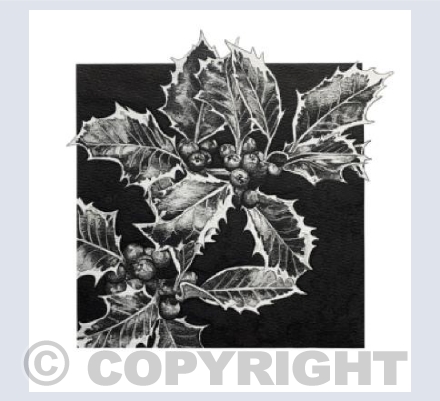 Holly Tree 2