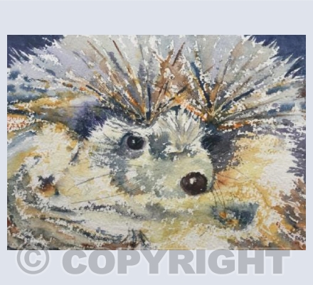 Hedgehog