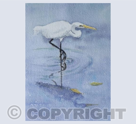 Egret fishing