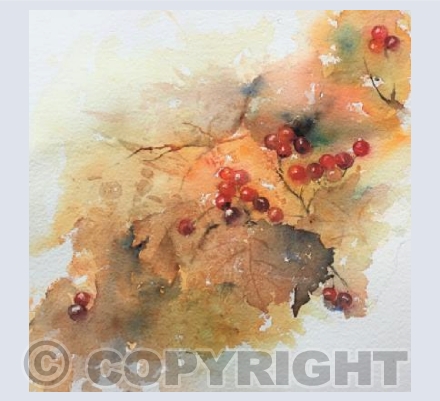 Autumn berries