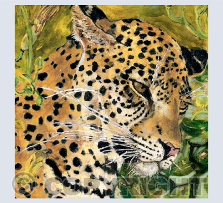 Female Leopard in a Sausage tree, Tanzania