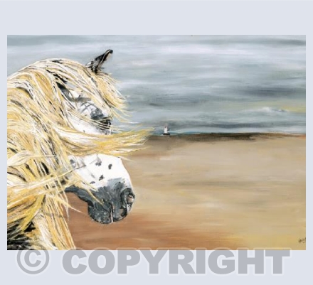 Toby on Talacre Beach