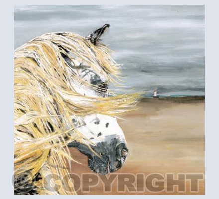 Toby on Talacre Beach square card