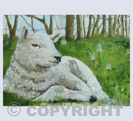 Spring sunshine