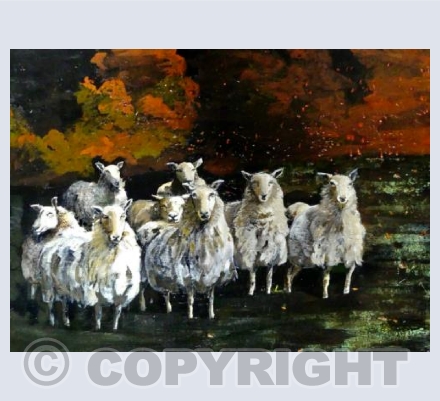 Autumn with sheep