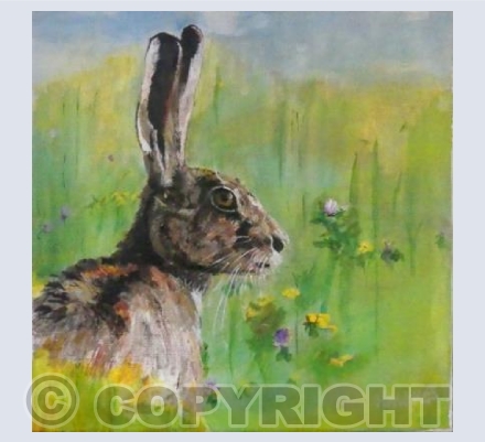 Hare in a "Magnificent Meadow"