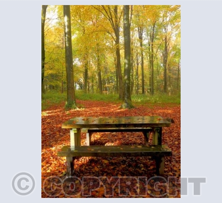 Autumn