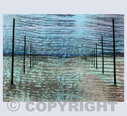 RTSA008 (Pilgrims Path 4) 