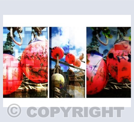 RTSA009  (Buoys will be Buoys)