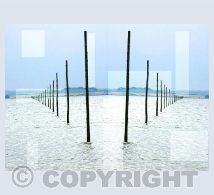 RTSL015 (The Building Blocks of Religion)