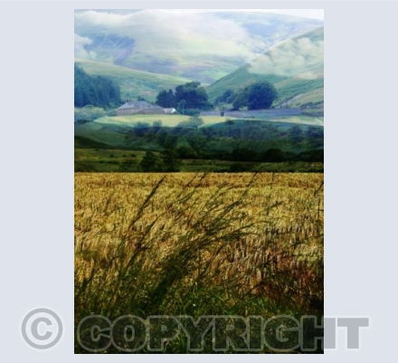 RTSL009 (Farmhouse on the Hill)