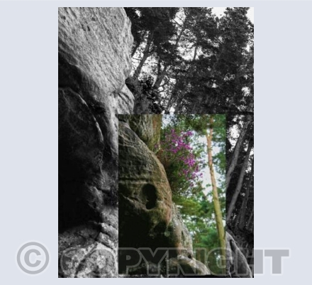 RTSL005 (Cuthbert's Cave) 