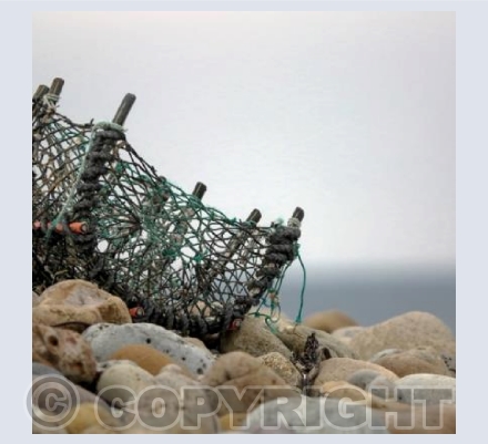 RTSL018 (Lobster pot)
