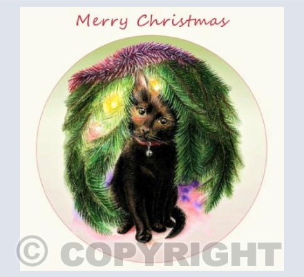 Merry Christmas Kitten