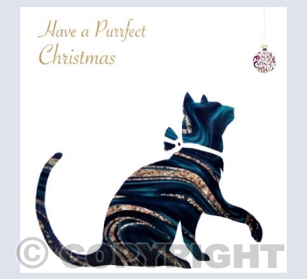 Playful Cat & Bauble