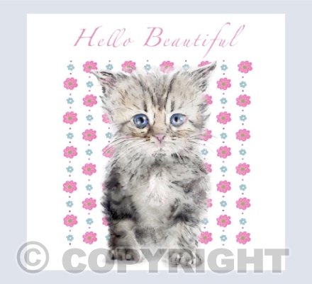 Hello Beautiful Kitty