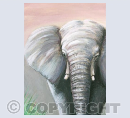 Elephant Walk