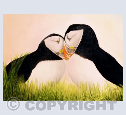 Puffins Kissing at Sunset