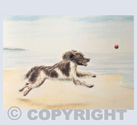 To the Beach and Back Again