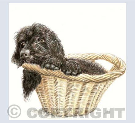 Diesel in a Basket