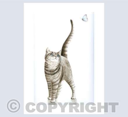 Cat and Butterfly