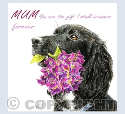 The Gift for Mum