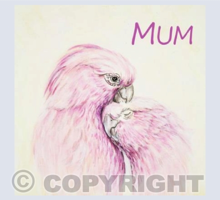 Caring Mum Cockatoo