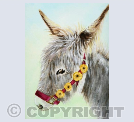 Ready for the Summer