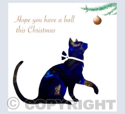 Cat and Bauble 1