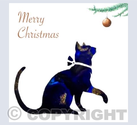 Cat and Bauble 3