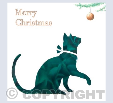 Cat and Bauble 6